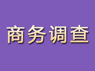 新河商务调查